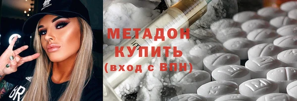 сатива Инта
