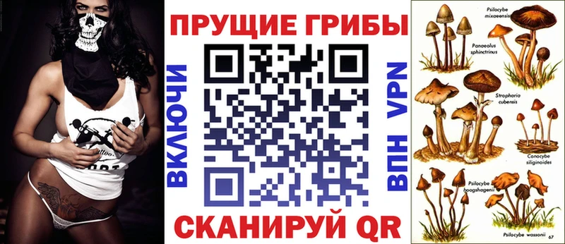 mega маркетплейс  хочу наркоту  Рубцовск  Псилоцибиновые грибы Magic Shrooms 
