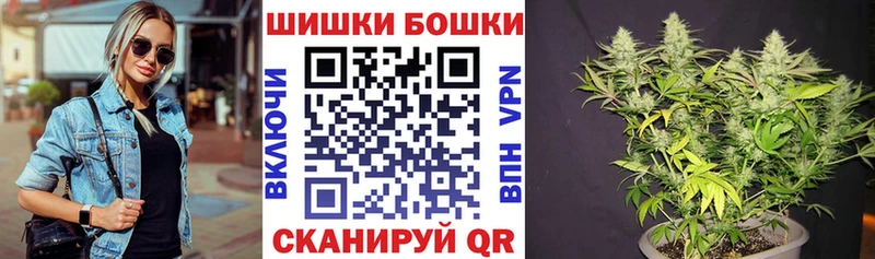 продажа наркотиков  mega   Шишки марихуана SATIVA & INDICA  Рубцовск 